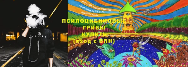 гидропоника Богородицк