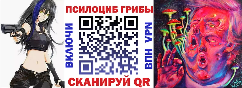 купить  цена  Макаров  кракен ССЫЛКА  Галлюциногенные грибы MAGIC MUSHROOMS 